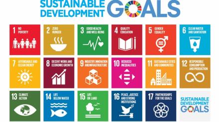 PENDATAAN SDGs DESA 2021